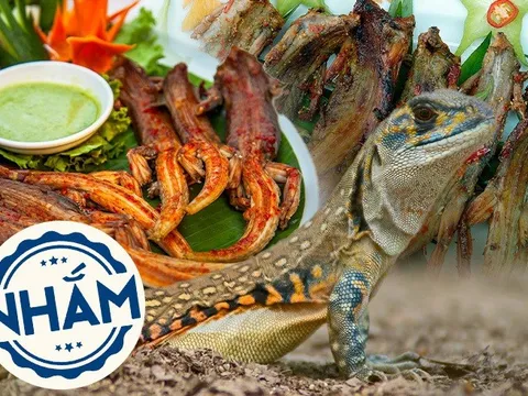 Dông nướng - Đặc sản khó quên níu chân bao thực khách của miền cát trắng