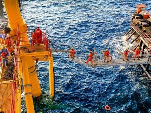 Đầu tư điện gió ngoài khơi, PVN kiến nghị gỡ khó nhiều dự án, gồm Cá Voi Xanh