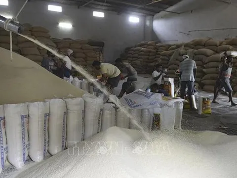 Đằng sau việc khách hàng châu Á tăng cường tích trữ ngũ cốc