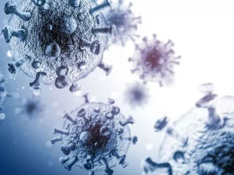 Tìm ra loại siêu kháng thể có thể vô hiệu hóa HIV