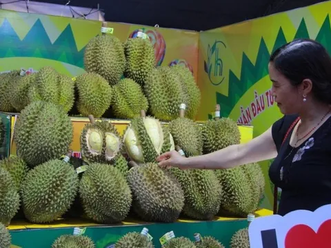 Mãn nhãn khai mạc Lễ hội sầu riêng Krông Pắk năm 2022