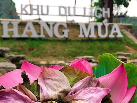 'Thánh địa checkin' Hang Múa có gì mà hút du khách dịp lễ 2/9?