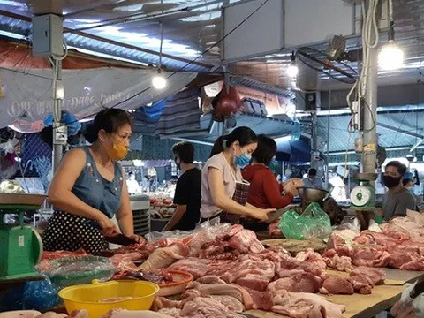 Giá lợn hơi tiếp đà giảm