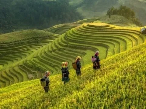 Du lịch dịp nghỉ lễ 2/9 sôi động, tour ngắn ngày lên ngôi