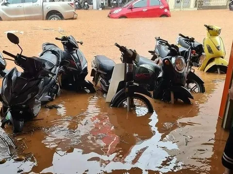 Mặc Đà Lạt mưa lớn, ngập lụt, khách vẫn kéo lên nườm nượp