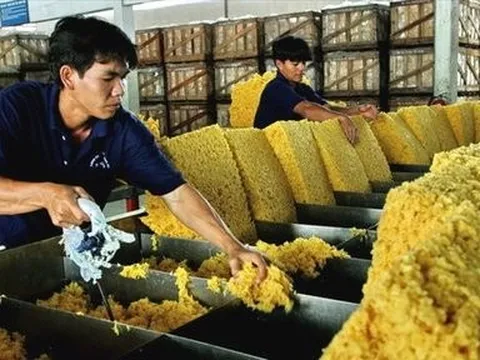 8 tháng đầu năm, xuất khẩu cao su đạt 2 tỷ USD