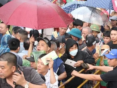 Vạn người đội mưa, chen chân về xem Lễ hội chọi trâu Đồ Sơn, Hải Phòng