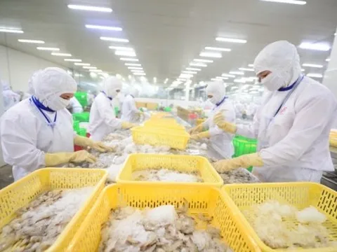 Xuất khẩu thuỷ sản tận dụng lợi thế logistics vào thị trường Trung Quốc