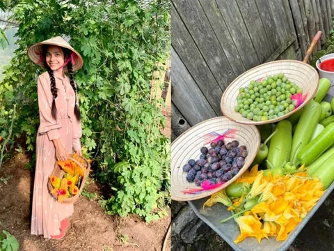 Mẹ Việt ở Đức về ngoại ô sống, làm farmstay gần 1ha, trồng rau quê bán cho người bản địa