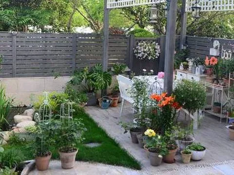 Khu vườn 45m² đậm chất điền viên giữa lòng thành phố, tha hồ trồng hoa nuôi cá