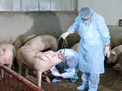 Bổ sung bệnh phải xét nghiệm đối với động vật nhập khẩu