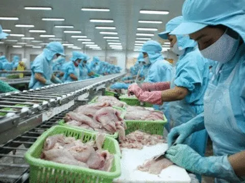 Cổ đông Thủy sản IDI sắp nhận "quà" 350 tỷ đồng sau 3 năm