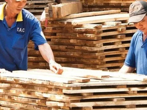 Doanh nghiệp gỗ “mắc kẹt” tại Mỹ