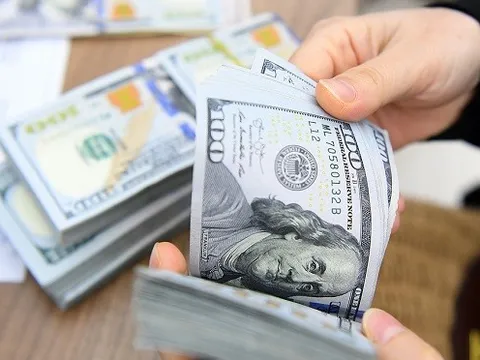 Có bao nhiêu người Việt sống và làm việc tại nước ngoài?