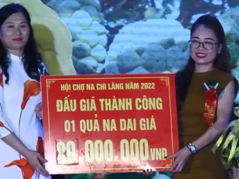 3 quả na ở Lạng Sơn được trả giá gần 160 triệu đồng