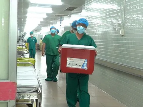 Cô gái 25 tuổi hiến tạng cứu sống 6 người