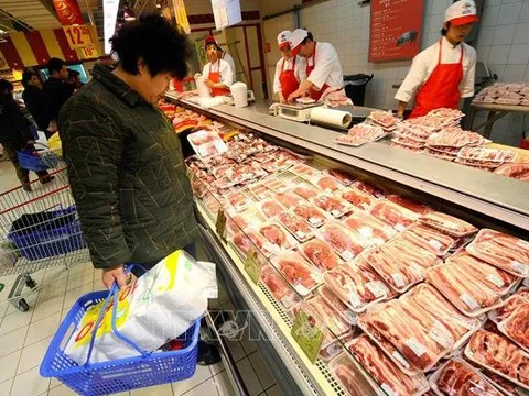 Trung Quốc đối mặt với lạm phát giá thịt lợn