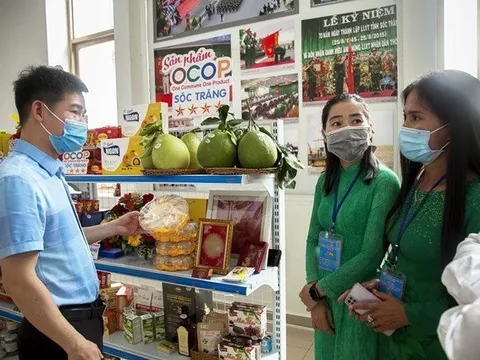 Liên kết tiêu thụ sản phẩm OCOP cho hợp tác xã