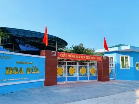 Xem xét kỷ luật, buộc thôi việc với 3 giáo viên dùng bằng giả ở Huế