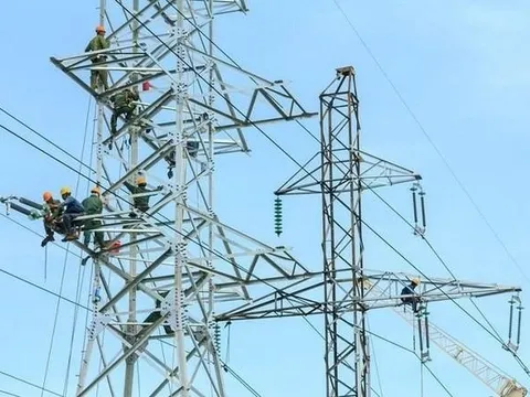 Vneco: Công ty của Chủ tịch HĐQT “dồn dập” mua thêm cổ phiếu VNE