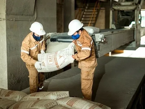 Xi măng Hà Tiên dự chi 229 tỷ đồng trả cổ tức