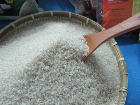 Gạo sẽ tăng giá mạnh từ động thái bất ngờ của Ấn Độ?