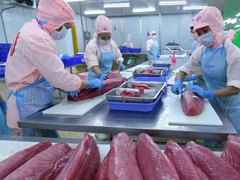 Xuất khẩu cá ngừ nhiều biến động