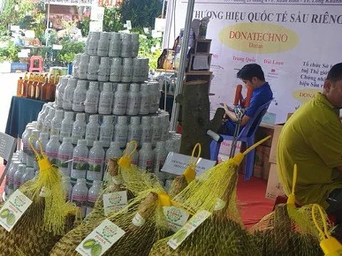 Sẵn sàng xuất khẩu lô sầu riêng tươi chính ngạch sang Trung Quốc