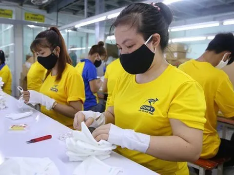 Việt Nam đã bước vào giai đoạn không thể phát triển trên cơ sở thâm dụng lao động giản đơn