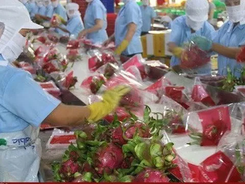 Trung Quốc chi gần 1 tỷ USD mua rau quả Việt Nam