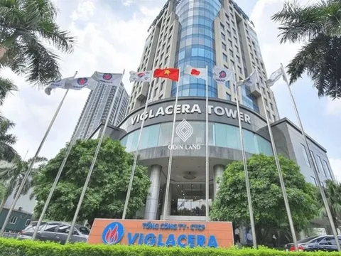 Cổ đông Viglacera sắp được nhận gần 450 tỷ đồng tiền cổ tức