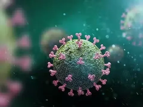 Anh, Mỹ cảnh báo biến chủng COVID-19 "lạ" BA.4.6 lan nhanh