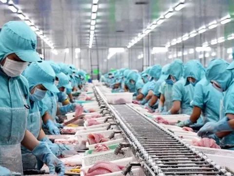 Mỹ giữ nguyên mức thuế chống bán phá giá với cá tra, cá ba sa Việt Nam