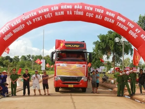 Xuất khẩu lô sầu riêng chính ngạch đầu tiên sang Trung Quốc