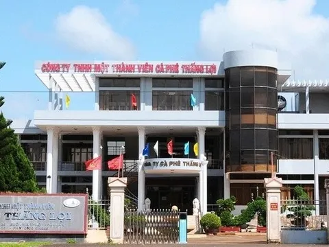 Một công ty cà phê “cầu cứu” sau nghi vấn cổ phiếu bị thao túng