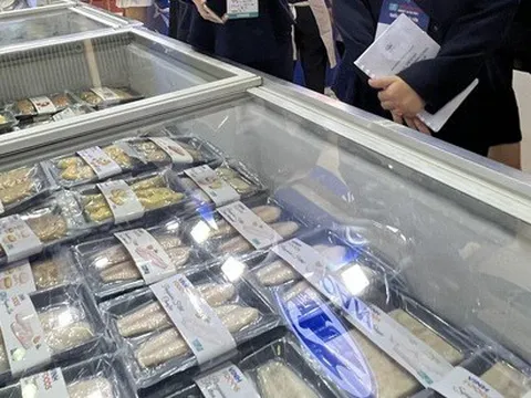 Cá tra Việt Nam tiếp tục bị Mỹ áp thuế chống bán phá giá