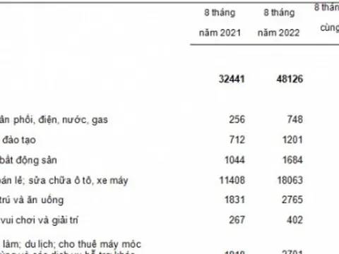 Hơn 48.000 doanh nghiệp hoạt động lại trong 8 tháng đầu năm