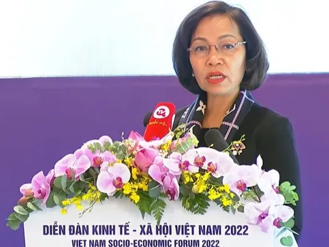 Chính phủ cần có một cơ chế cho các doanh nghiệp đang đi tiên phong