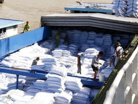 Ấn Độ hạn chế xuất khẩu, nhiều doanh nghiệp tìm mua gạo Việt