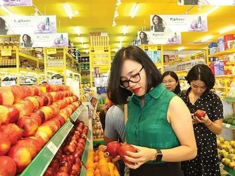 Báo Malaysia: Việt Nam có tiềm năng trở thành "cường quốc kinh tế" nhờ điều này