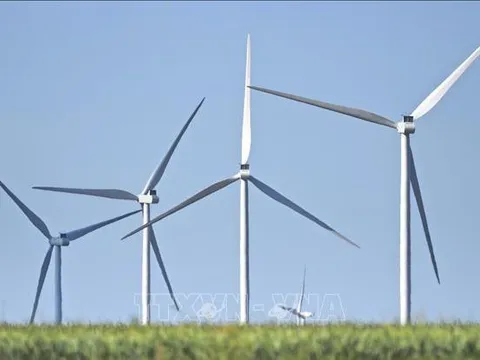 Lào dự kiến chi hơn 2 tỷ USD làm điện gió xuất khẩu sang Việt Nam