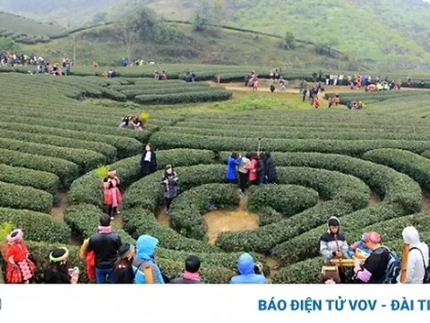 Bộ GTVT nói gì về đề xuất xây sân bay Mộc Châu của Sơn La