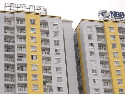 Năm Bảy Bảy phát hành 50 triệu CP giá rẻ để huy động vốn cho dự án Quảng Ngãi