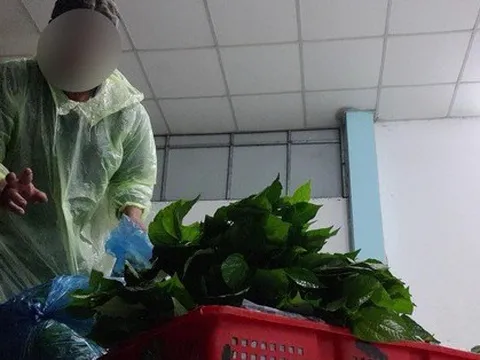 WinCommerce: Ngừng nhập và rút toàn bộ hàng hóa của nhà cung cấp Trình Nhi khỏi quầy kệ