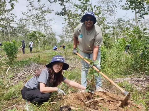BAT Việt Nam và Gaia cùng triển khai các dự án trồng rừng