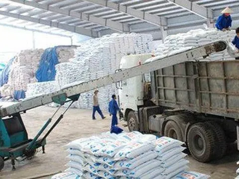 Không gia hạn biện pháp tự vệ với phân bón DAP, MAP nhập khẩu