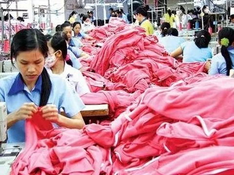 Tổng Giám đốc Garmex Sài Gòn từ nhiệm