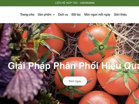 Bị nghi vấn gian dối khi "hô biến" rau nguồn TQ vào Bách Hóa Xanh, Công ty Đông A là ai?