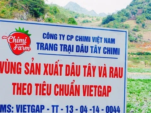Chứng nhận VietGAP "xịn" có dễ đạt hay không?