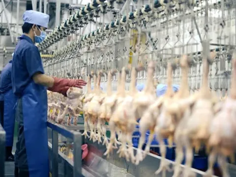 Doanh nghiệp quay cuồng giữa 'bão' giá nguyên liệu đầu vào